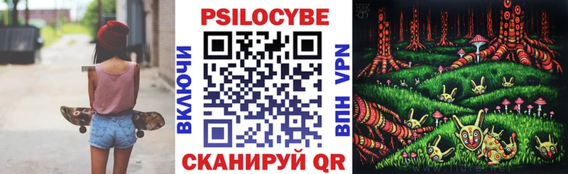 где найти   Щёлково  сайты даркнета телеграм  Галлюциногенные грибы Cubensis 