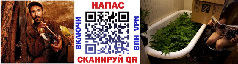 гидра ссылка  Щёлково  МАРИХУАНА планчик  даркнет сайт 